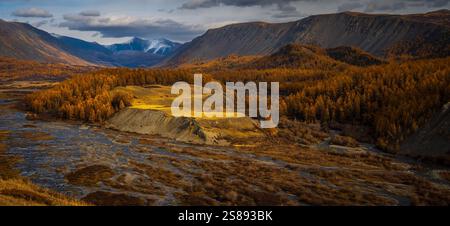 Bergtal mit goldenem Wald, mäandernden Fluss und fernem Himmel. Lebendige Herbsttöne. Stockfoto
