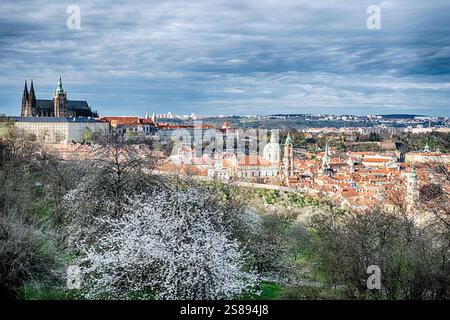Blick auf den Hradcany-Hügel und das Prager Stadtviertel Mala Strana vom Petrin-Park aus. Stockfoto