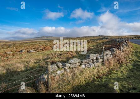 Bauernhof Steinmauer auf Dartmoor Devon Stockfoto