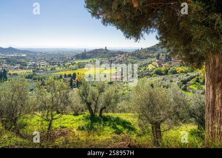 Blick auf die historische Stadt Castiglion Fiorentino von der Landschaft. Provinz Arezzo, Toskana, Italien Stockfoto
