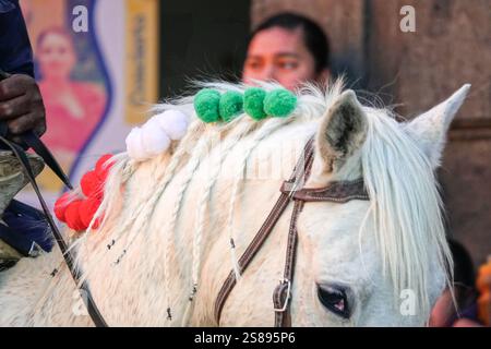 San Miguel de Allende, Mexiko. Januar 2025. Ein mexikanisches Polizeipferd, dessen Mähne mit den Farben der mexikanischen Flagge verziert ist, reitet durch das historische Zentrum während einer Parade, die den Geburtstag des mexikanischen Unabhängigkeitsmartyrers Ignacio Allende feiert, am 21. Januar 2025 in San Miguel de Allende, Mexiko. Quelle: Richard Ellis/Richard Ellis/Alamy Live News Stockfoto