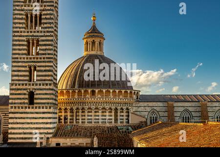 Die Kuppel und der Glockenturm der Kathedrale von Siena in der späten Nachmittagssonne vom Panorama dal Facciatone in Siena, Italien Stockfoto