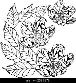 Malseite mit Blumen und Blättern in Buntglasfenster Technik Vektor Illustration Stock Vektor