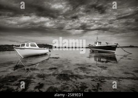 Kleine Fischerboote an der Küste, die bei Ebbe auf Sand im flachen Wasser am Strand liegen. Rocquaine Bay, Guernsey, Kanalinseln Stockfoto