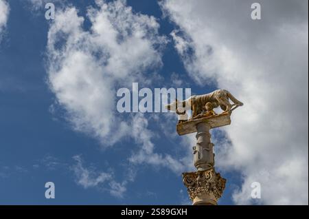 Statue von Romulus und Remus und einem Wolf vor der Kathedrale von Siena auf der Piazza del Duomo, Siena, Italien Stockfoto