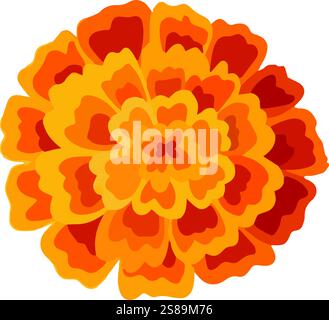 Ein gelb-orangefarbenes Ringelblume. Blumendekoration für indische Blumengirlande toran. Zendu Blume isoliert auf Hintergrund. Diwali, Halloween Dia de Stock Vektor