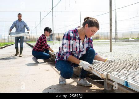 Positive junge Menschen, die mit Kinderkrippen im Gewächshaus arbeiten Stockfoto
