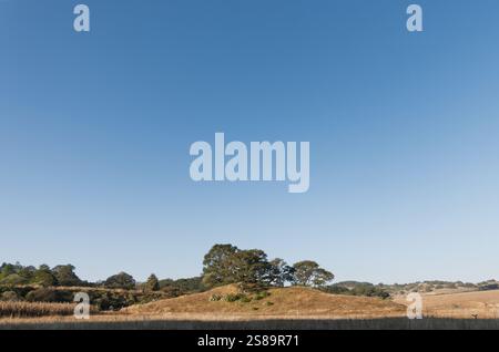 Eine ruhige Landschaft entfaltet sich mit einem sanften Hügel, der von Baumgruppen geschmückt ist. Die Wiese darunter ist Golden, was auf trockene Gräser unter der Wärme von t hindeutet Stockfoto