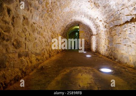 Geheimnisvoller Dungeon Corridor mit bogenförmigen Steinwänden und dunkler Atmosphäre Stockfoto