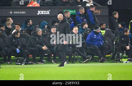 Swansea.com Stadium, Swansea, Großbritannien. Januar 2025. EFL Championship Football, Swansea City gegen Sheffield United; Swansea City Manager Luke Williams sieht enttäuscht aus. Credit: Action Plus Sports/Alamy Live News Stockfoto