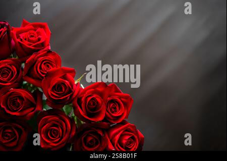 Rote Rosen mit schwarzem Hintergrund für Valentinstag- und Muttertagskonzept. Stockfoto