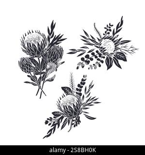 Schwarze Silhouetten von tropischen Protea-Blumen und Blättern Blumensträuße gesetzt Stock Vektor