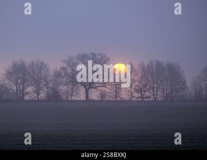 Sieversdorf, Deutschland. Januar 2025. Der Sonnenaufgang scheint hell durch den Morgennebel über die Landschaft im Osten Brandenburgs. Quelle: Patrick Pleul/dpa/Alamy Live News Stockfoto