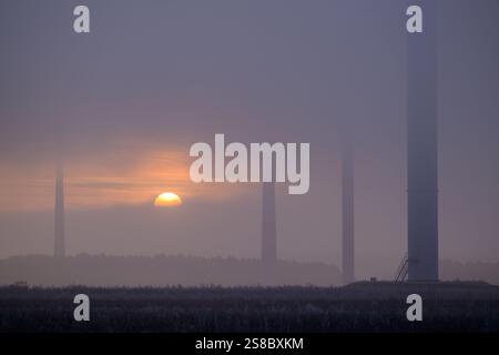 Sieversdorf, Deutschland. Januar 2025. Der Sonnenaufgang scheint schwach durch den dichten Morgennebel zwischen den Masten der Windturbinen im Osten Brandenburgs. Quelle: Patrick Pleul/dpa/Alamy Live News Stockfoto