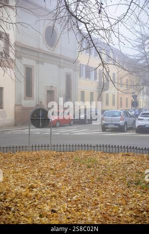 Cremona, Italien - 15. Januar 2025 Roter Fiat 500 und grauer Dacia Sandero Stepway parkten im Herbst auf einer nebeligen Straße, mit gefallenen Ginkgoblättern im Fo Stockfoto