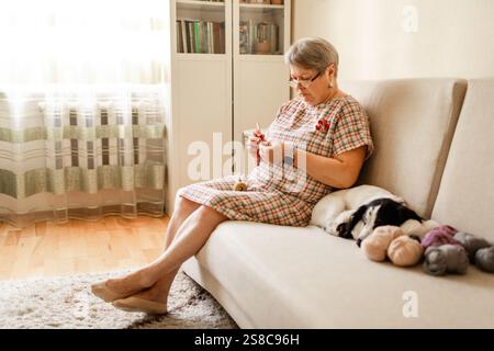 Ältere Dame mit Brille häkeln zu Hause, während ihr weißer Hund neben ihr sitzt. Stockfoto