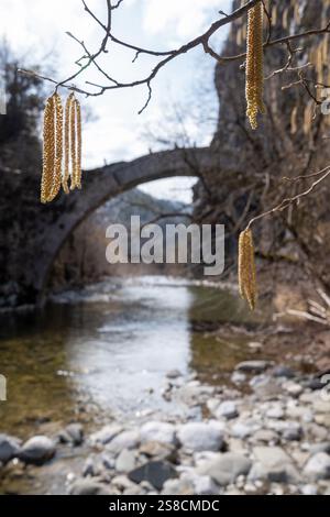 Steinbrücke über den Fluss Aoos im Vikos-Aoos Nationalpark Stockfoto