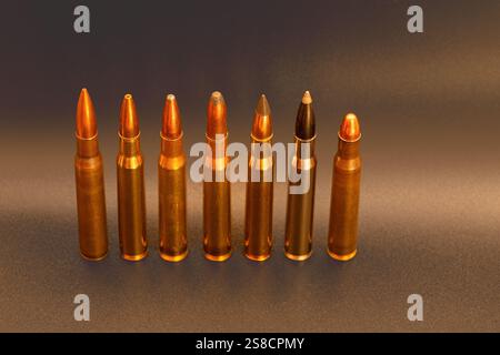 Sieben Gewehrpatronen stehen aufrecht auf dunklem Hintergrund und zeigen eine Vielzahl von ballistischen Spitzen und Messinggehäusen. Stockfoto