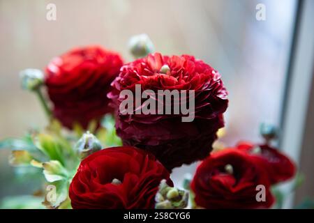 Dies ist eine Nahansicht eines wunderschönen Straußes roter Rosen, die in einer Vase angeordnet sind Stockfoto