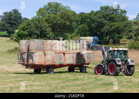 Landwirt, der während der Ernte für die Winterverfütterung mit Traktor und mechanischem Arm kreisförmige Heuballen auf einem Landwirtschaftsanhänger auf einer Frühlingsweide verlädt Stockfoto