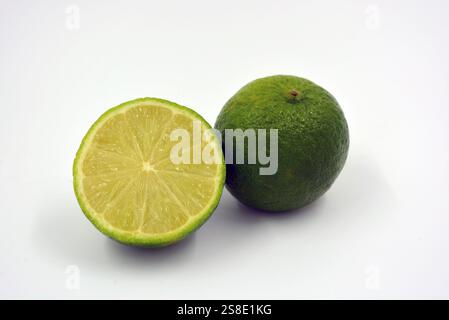 Gesunde und gesunde Lebensmittel, frisches Obst. Schöne Scheiben, Hälften grüner Limette befinden sich auf einem weißen Kunststoffhintergrund. Stockfoto