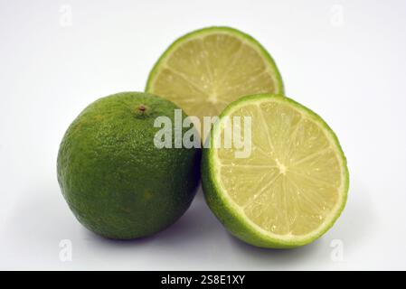 Gesunde und gesunde Lebensmittel, frisches Obst. Schöne Scheiben, Hälften grüner Limette befinden sich auf einem weißen Kunststoffhintergrund. Stockfoto