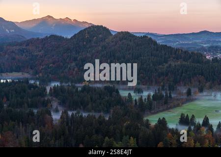 Ein ruhiger Blick auf dichten Wald mit Morgennebel und sanftem Sonnenlicht nahe Schwansee in den Bayerischen Alpen rollende Hügel und ferne Berge bilden eine Erbse Stockfoto