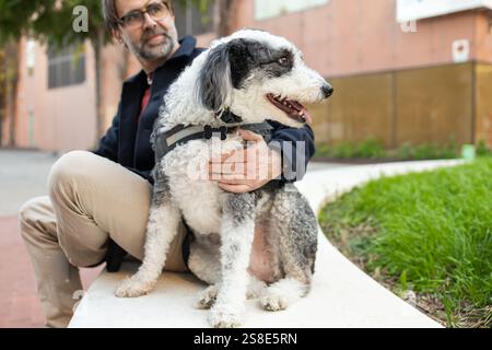 Ein Mann sitzt neben seinem Hund mit lockigen Haaren in einem Stadtpark und bildet ein warmes und berührendes Porträt von Gesellschaft und Liebe. Beide Subjekte blicken liebevoll Stockfoto