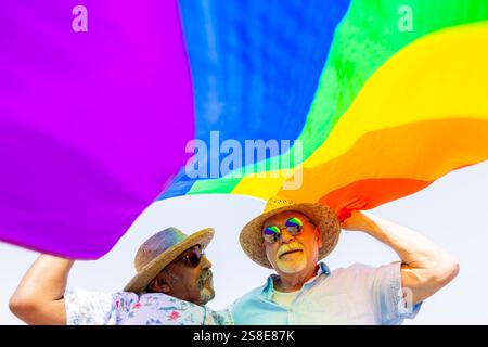 Von unten erfreuen sich ältere schwule Paare, beide Männer, einen sonnigen Tag im Freien, während sie eine leuchtende Regenbogenfahne hoch über ihren Köpfen halten. Schauen Sie in einander hinein Stockfoto