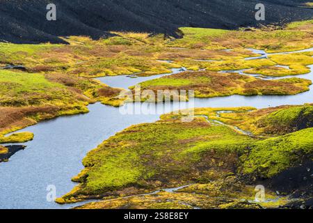 Dieses Bild zeigt die lebendigen Texturen einer isländischen Flusslandschaft. Das lebhafte grüne Moos bildet einen Kontrast zu dunklem Boden und schafft eine atemberaubende Natur Stockfoto