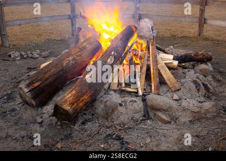 Touristisches Lagerfeuer in der Natur an einem speziell dafür vorgesehenen und umzäunten Ort. Brennholz brennt in der Natur Stockfoto