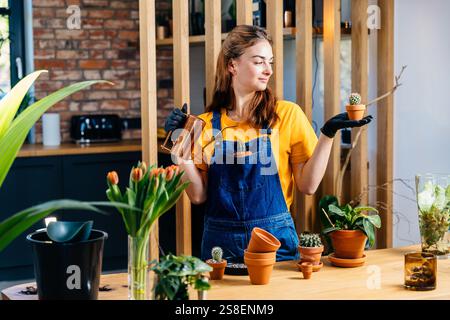 Porträt einer europäischen Pflanzenliebhaberin, die zwei kleine frisch transplantierte Kakteen in Topf hält. Tägliche Arbeit, süße Frau, Mini-Kaktusgarten, warm Stockfoto