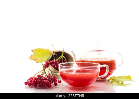 Tee aus reifem roten Viburnum isoliert auf weißem Hintergrund. Stockfoto