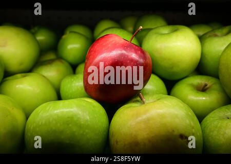 Ein einziger roter Apfel hebt sich von einem Meer grüner Äpfel ab. Stockfoto