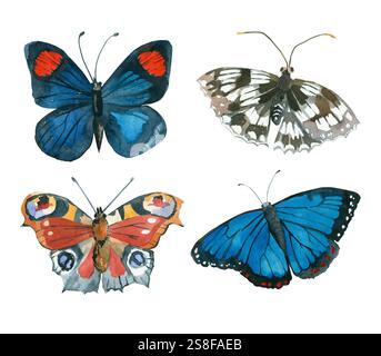 Set von hellen Schmetterlingen, die mit Aquarellen von Hand bemalt wurden. Pfauenfalter, Nymphalide, Morpho gemalt und isoliert auf weißem Hintergrund. Stockfoto