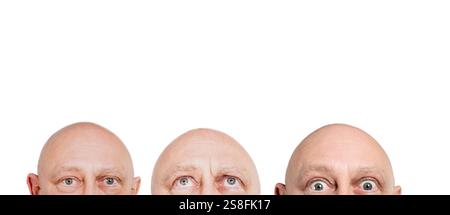 Nahaufnahme des Glatzenkopfes Stockfoto