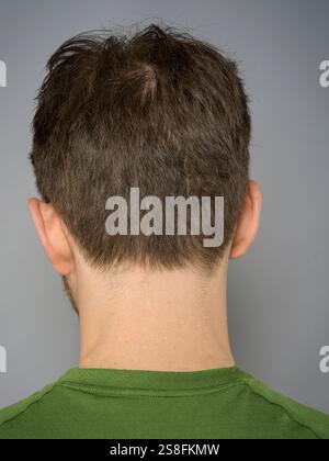 Rückansicht der Männerhaare Stockfoto