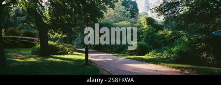 Bäume in Einem Park, Central Park, NYC, New York City, New York State, USA Stockfoto