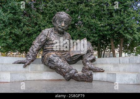 Das Albert Einstein Memorial in Washington, D.C. ist eine eindrucksvolle Bronzestatue zu Ehren des berühmten Physikers. Stockfoto