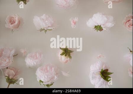 Hintergrundmuster, Rosen sind nur Blumen in der Luft Stockfoto