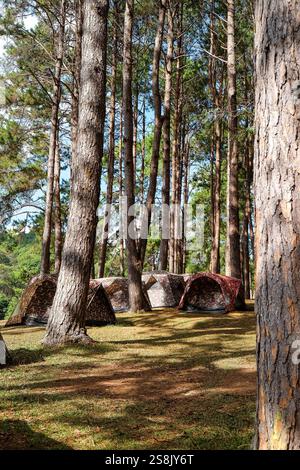 Campingzelt im Kiefernwald im Pang Tong unter dem Royal Forest Park ( Pang ung ) in der Provinz Mae Hong Son, Thailand. Pang Ung ist ein beliebter Ort Stockfoto