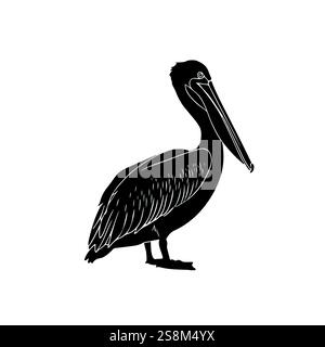 pelican Cartoon Vektor Illustration Stock Vektor