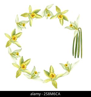 Vanilleorchideenblumen und Bohnen Aquarellrahmen isoliert auf weißem Hintergrund. Hochwertiges, handgezeichnetes Designelement, perfekt für Gewürzdosen Stockfoto