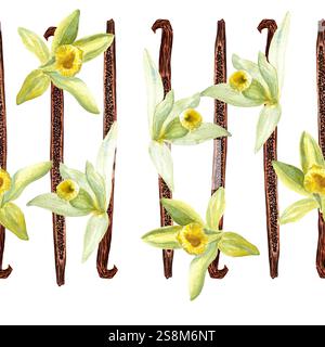 Vanilleblüten und Bohnen nahtloses Muster in Aquarell isoliert auf weißem Hintergrund. Hochwertiges handgezeichnetes Design, perfekt für Gewürzbox und Café-Menü Stockfoto