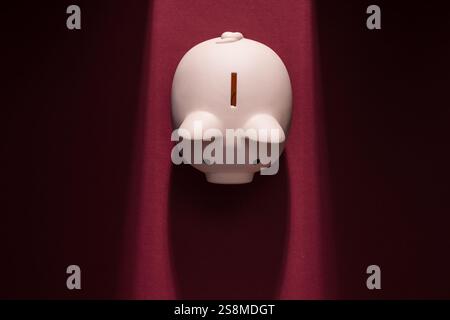 Schweinebank auf dem roten Teppich im Rampenlicht: Erfolgreiches Investitions- und Finanzierungskonzept Stockfoto