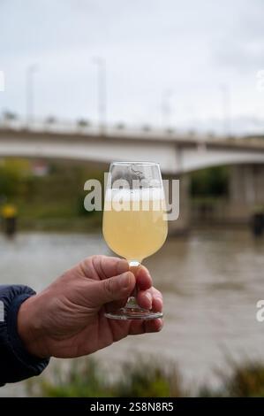 Herbstweinfestival in Schengen an der Mosel, Luxemburg, Verkostung von fiederwaissen Jungwein fermentiertem frisch gepresstem auxerrois-Traubensaft oder Mu Stockfoto