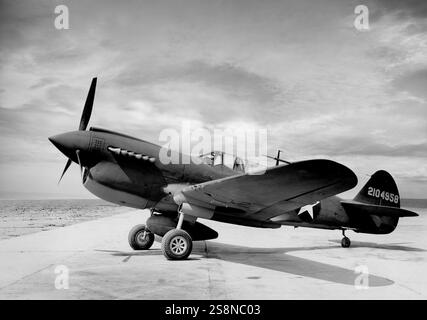 Ein Curtiss P-40 Warhawk, der amerikanische einmotorige, einsitzige Ganzmetall-Jagdbomber, flog erstmals 1938. Das Flugzeug wurde während des Zweiten Weltkriegs von den meisten alliierten Mächten eingesetzt und blieb bis zum Ende des Krieges im Frontliniendienst. Die P-40er waren erstmals im Juni 1941 mit den britischen Commonwealth-Geschwadern der Desert Air Force im Nahen Osten und Nordafrika im Einsatz. Stockfoto
