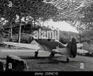 Unter Tarnung flog ein Curtiss P-40 Warhawk, der amerikanische einmotorige, einsitzige, All-Metal-Jagdbomber, erstmals 1938. Das Flugzeug wurde während des Zweiten Weltkriegs von den meisten alliierten Mächten eingesetzt und blieb bis zum Ende des Krieges im Frontliniendienst. Die P-40er waren erstmals im Juni 1941 mit den britischen Commonwealth-Geschwadern der Desert Air Force im Nahen Osten und Nordafrika im Einsatz. Stockfoto