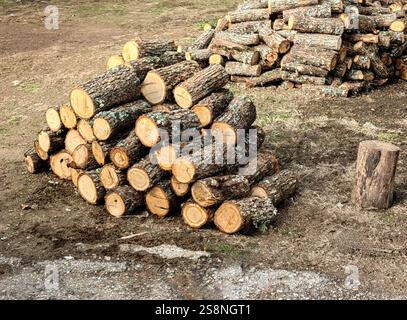Stapelfeuerholz – Winterreife im Yard Stockfoto