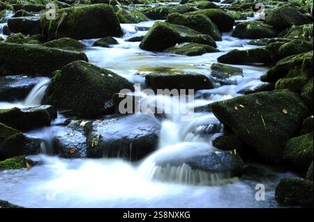 Nahaufnahme eines fließenden Baches, der über moosige, felsige Steine plätschert, Saussbach, Nationalpark Bayerischer Wald Stockfoto
